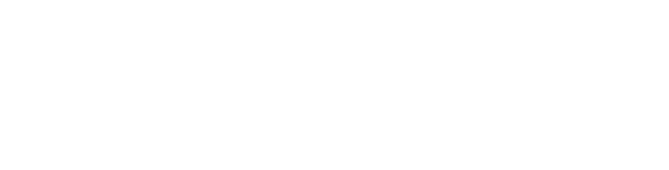 JENKI